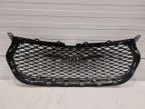 Radiator Grille